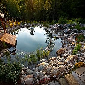 natural-swimming-pools-01