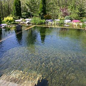 natural-swimming-pools-08