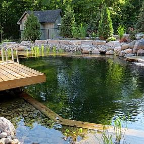 natural-swimming-pools-27