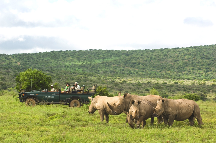 Сафари Kwandwe Private Game Reserve в Южной Африке