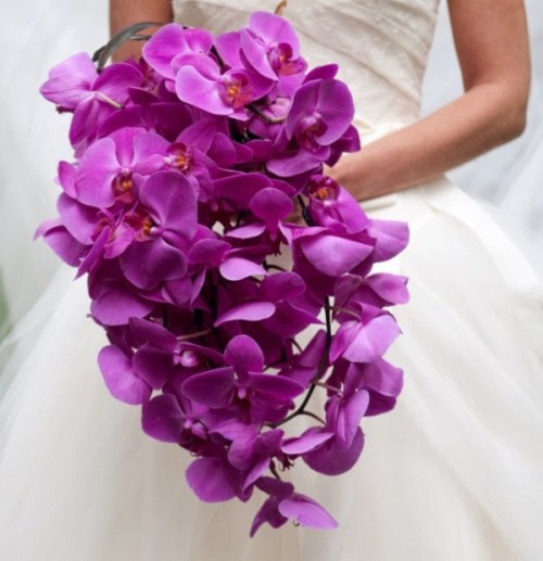 radiant-orchid-wedding-01