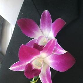 radiant-orchid-wedding-29