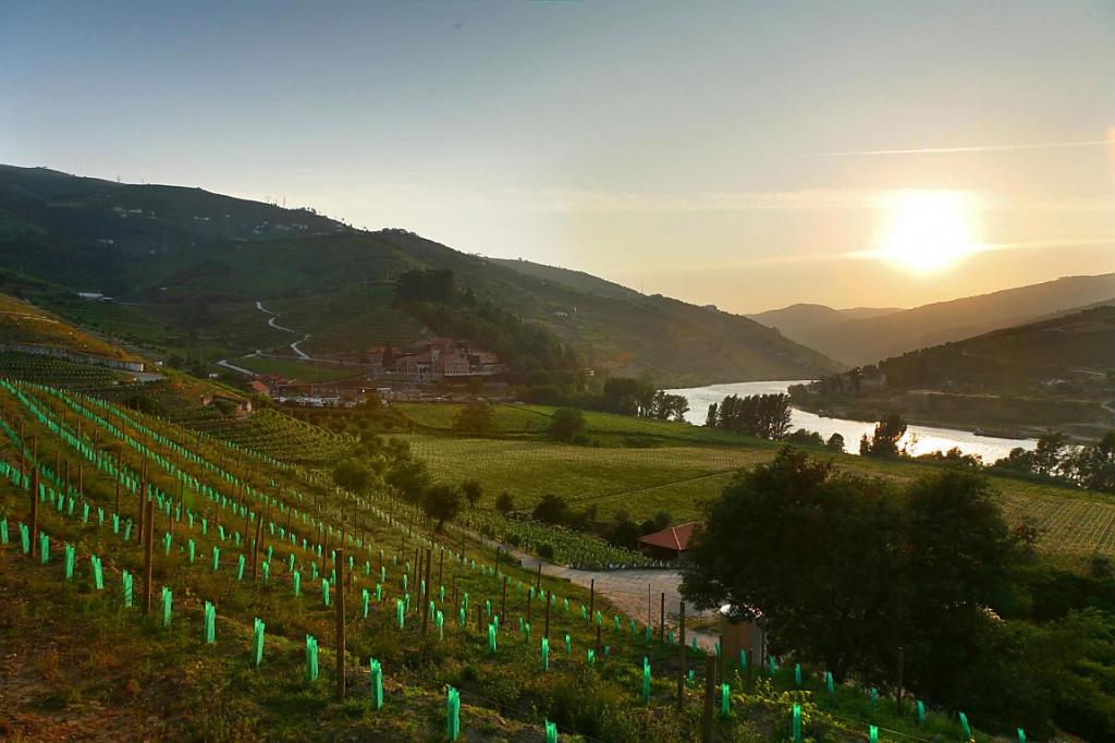 Экстерьер гостиницы The Aquapura Douro Valley