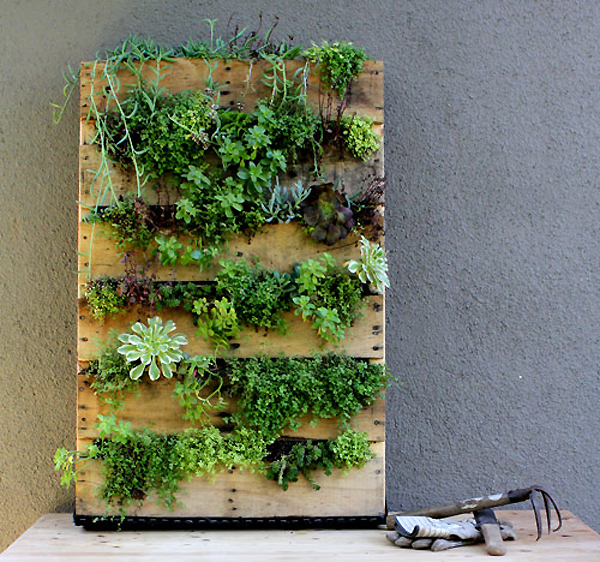 upcycle-into-planter-12