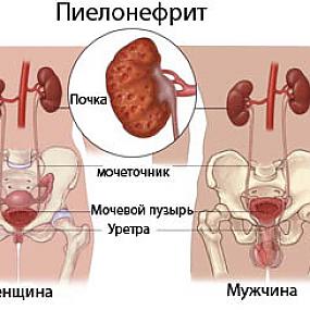 диета  при больной поджелудочной железе