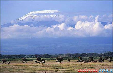Африка Килиманджаро