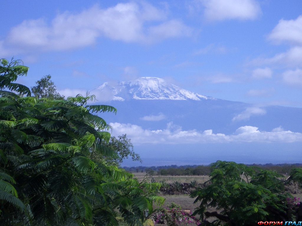 Африка Килиманджаро