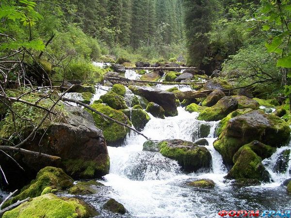 Вода из ледников Тянь-Шаня
