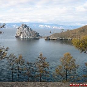 baikal-seal-08