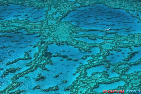 belize-barrier-reef-09