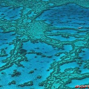 belize-barrier-reef-05