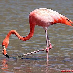 travel-galapagos-islands-01