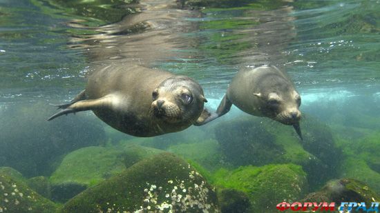 travel-galapagos-islands-07