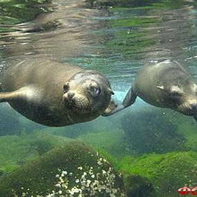 travel-galapagos-islands-07