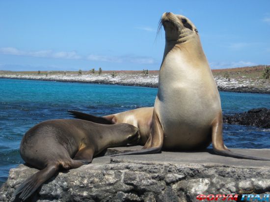 travel-galapagos-islands-11