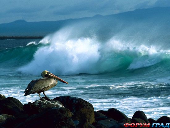 travel-galapagos-islands-12