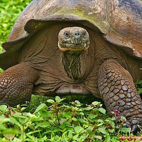 travel-galapagos-islands-14