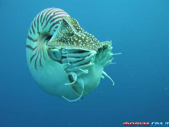 trip-palau-13