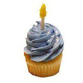 yom-kippur-cupcakes-and-cupcake-wrappers-liners- 16