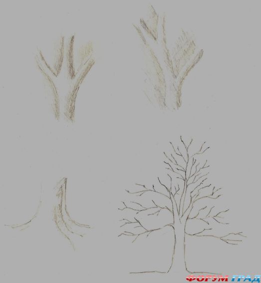 Рисуем дерево поэтапно