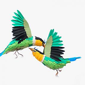 paper-birds-and-wildlife-diana-beltran-herrera-05