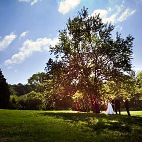 small-wedding-ceremony-at-cedarwood-tree-10