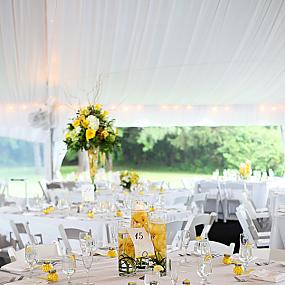 yellow-white-wedding-theme-08