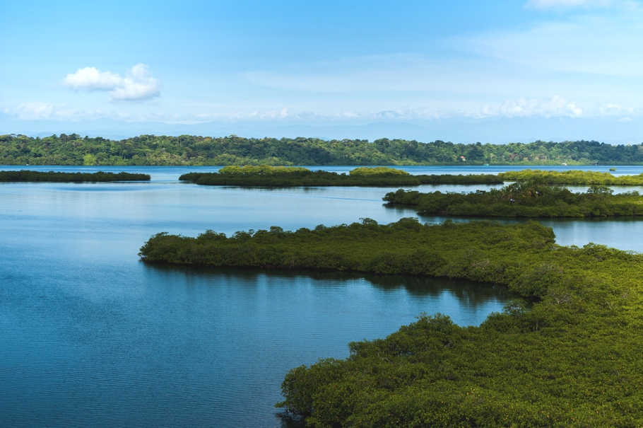 red-frog-beach-rainforest-resort-marina-bocas-07