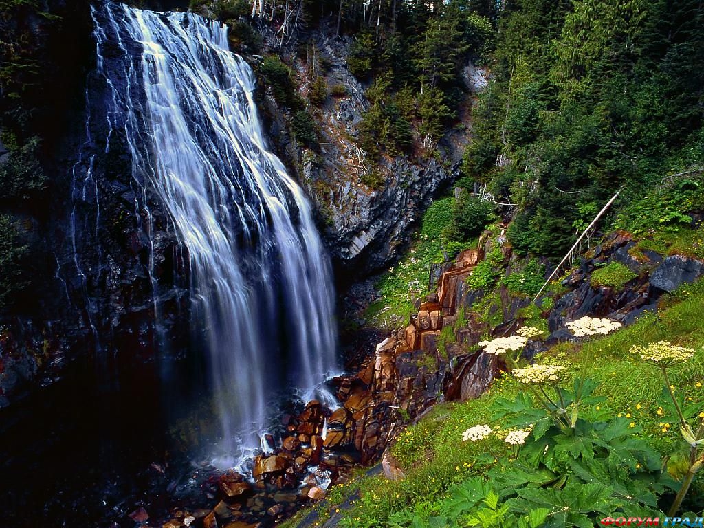narada falls mount rainier national forest was48