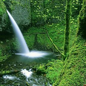 ponytail falls columbia river gorge oregon - 58