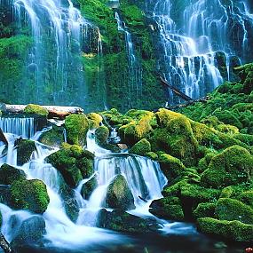 proxy falls willamette national 60