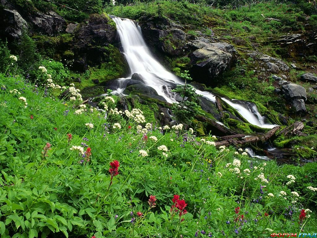 Flowers HD Wallpapers v.2 " Новый софт, игры, музыка, фильмы, фото и обои, книги и журналы. Скачать бесплатно.
