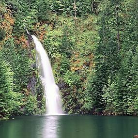 willamette national forest oregon -87