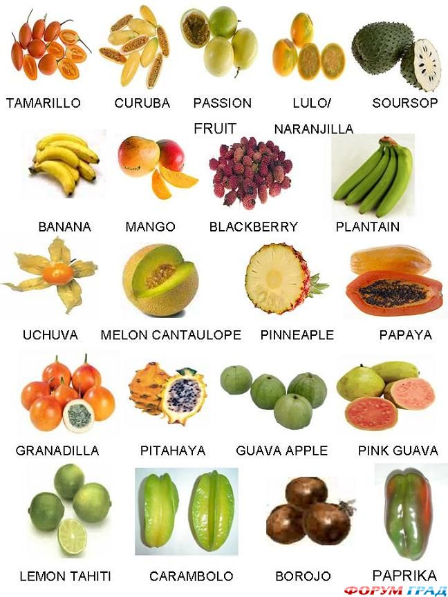 герб колумбии фрукты