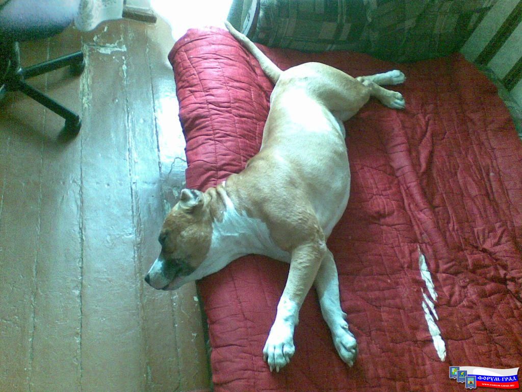 отдых после тяжелого трудового дня