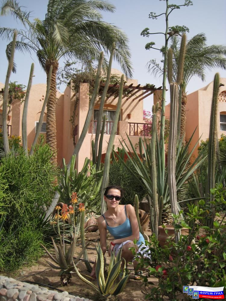 Немного о себе