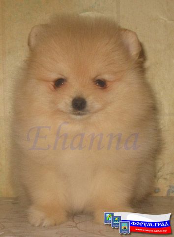 детки подросли