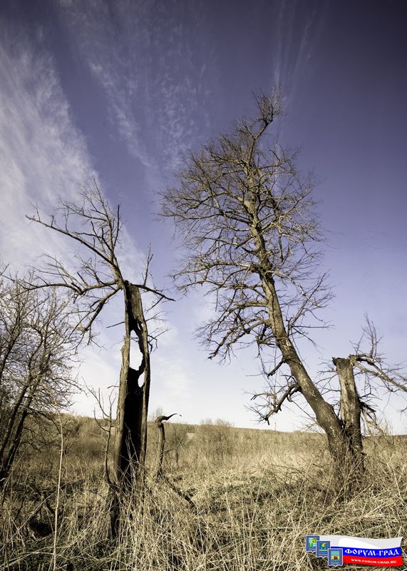 Иваньковские зарисовки