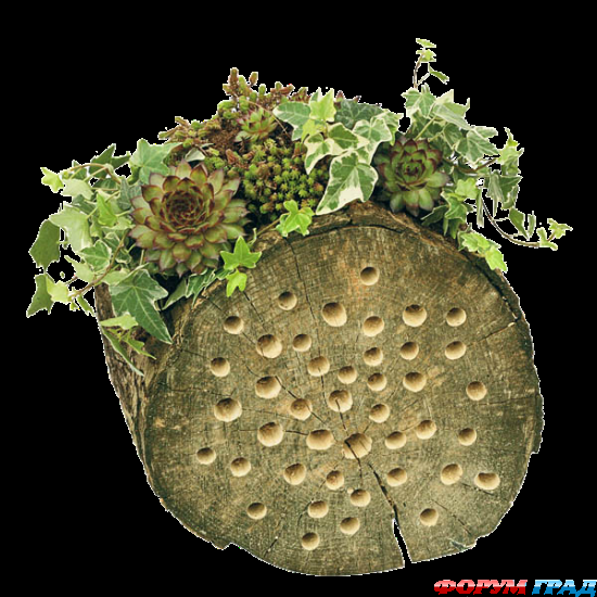 Цветник в обрезке бревна