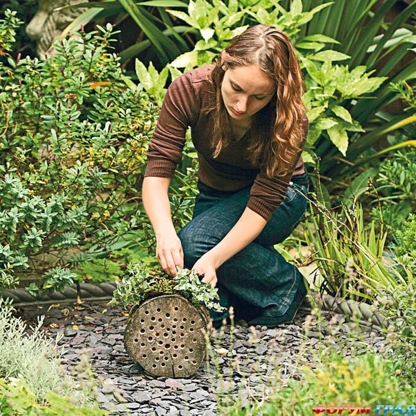 Высаживаем растения