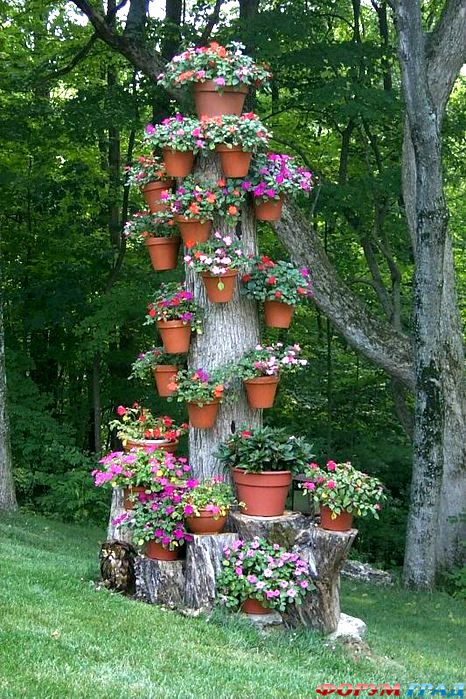 Цветник на старом дереве