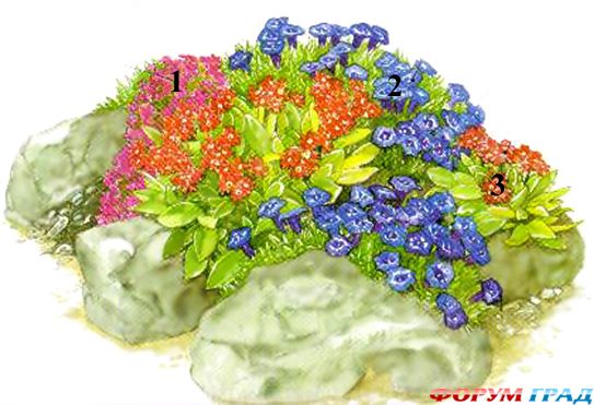 Альпинарий