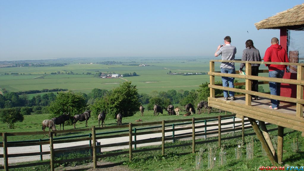 Вид с отеля Livingstonе Lodge