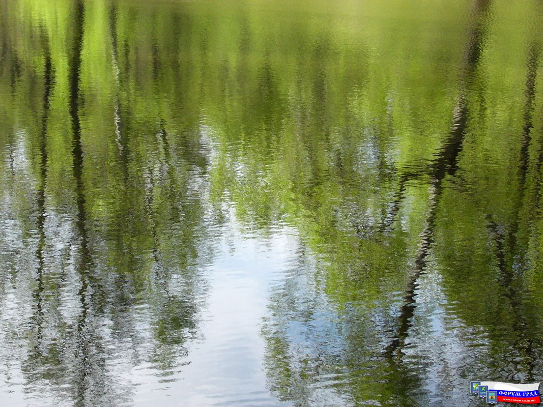 Современный Воскресенск