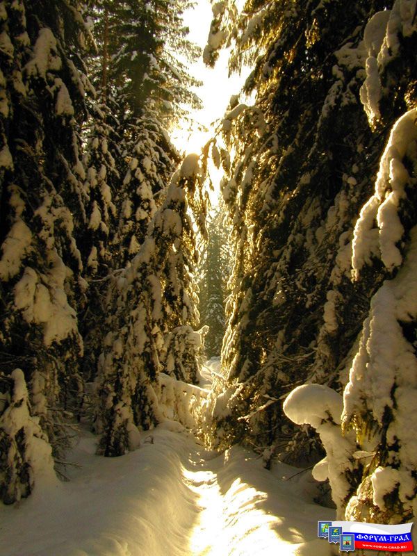 Природа Города Воскресенск