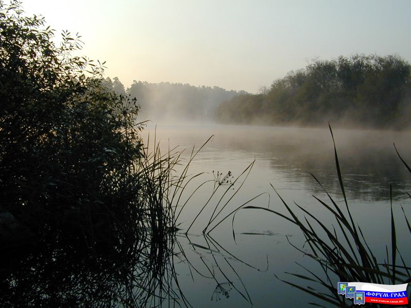 Природа Воскресенска