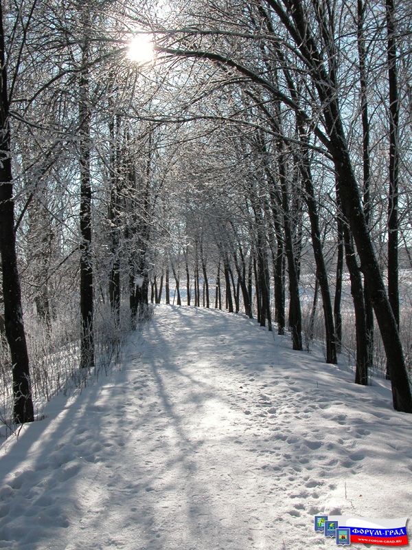 Природа Воскресенска