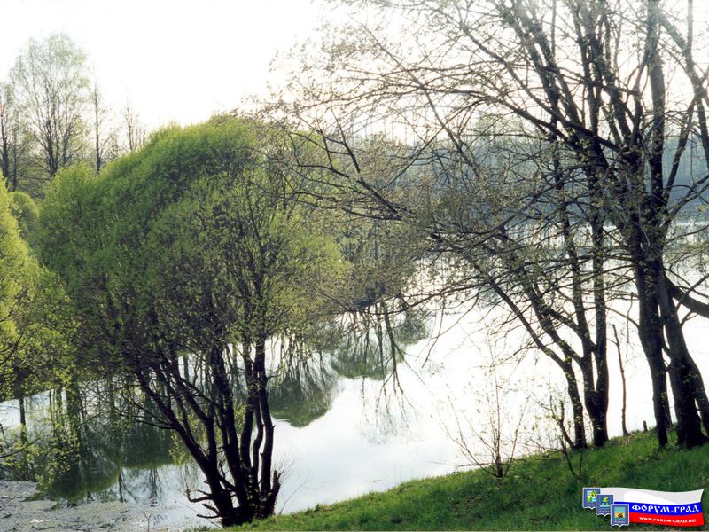 Природа Воскреснская