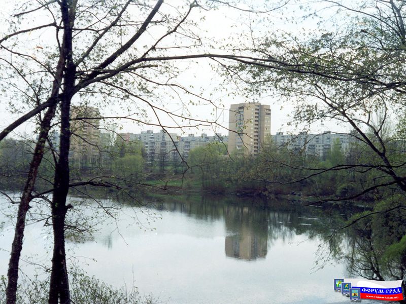 Природа Воскресенска