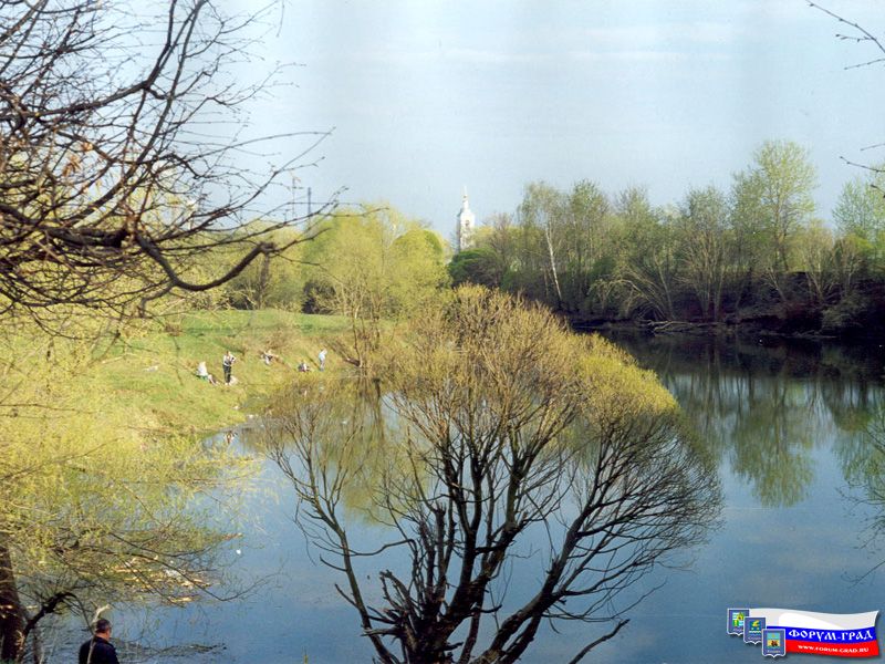 Природа Воскресенска